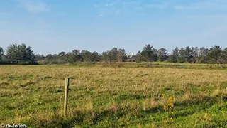 Blick auf die Landschaft von Hus Rubjerg Knude