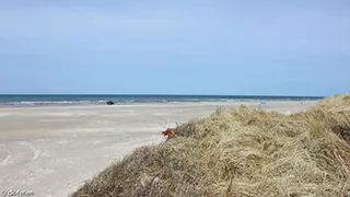 Strand in der Nähe von Henriks Hus