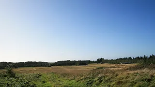 Umgebung von Løkken Hus