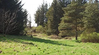 Grundstück von Skallerup Blockhütte