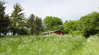 Grundstück von Anneks Hus