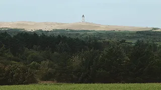 Umgebung von Rubjerg Knude Lejlighed
