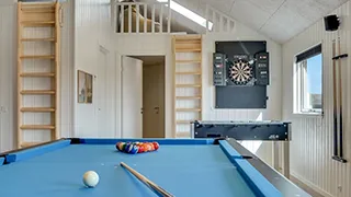 Dart  Bjerregård Aktivhus