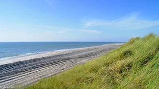 Strand in der Nähe von Holmsland Klit Poolhus