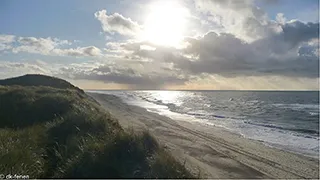 Strand in der Nähe von Holmsland Klit Aktivitätshaus