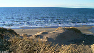 Strand in der Nähe von Søndergaards Poolhus