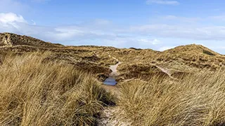 Blick auf die Landschaft von Klitoase Wellnesshus