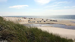 Strand in der Nähe von Vejers Familiehus