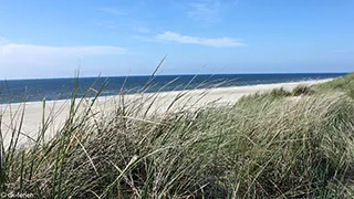 Strand in der Nähe von Vejers Familiehus