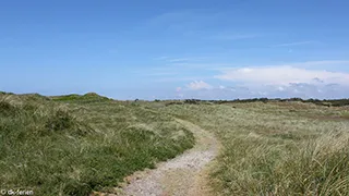 Umgebung von Vejers Familiehus