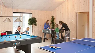 Tischtennisplatte  Fynsland Poolhus