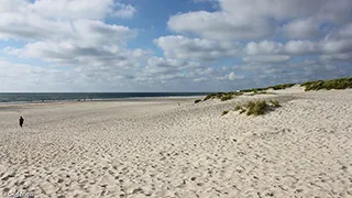 Strand in der Nähe von Henne Aktivhus