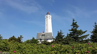 Umgebung von Arthurs Poolhus