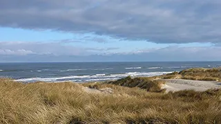 Strand in der Nähe von Landsø Aktivhus