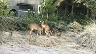 Umgebung von Solsiden Hyggehus