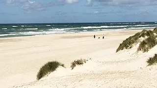 Strand in der Nähe von Gøge Aktivhus