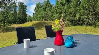 Terrasse von Grævlinge Spahus