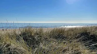 Strand in der Nähe von Afslaphus Hygge Ho