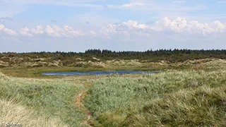 Umgebung von Engesø Aktivhus