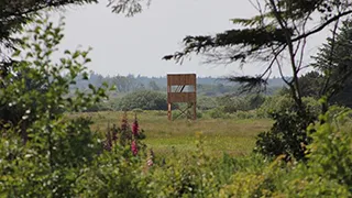 Umgebung von Hus Fidde