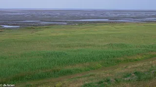 Strand in der Nähe von Helles Hus