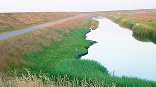 Umgebung von Mandø Hyggehus