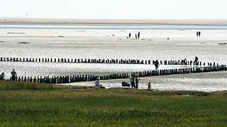 Strand in der Nähe von Mandø Byvejhus