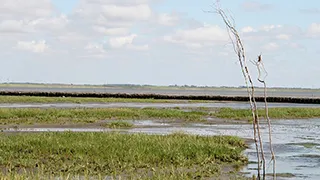 Umgebung von Mandø Byvejhus