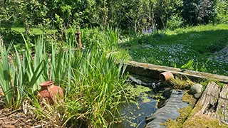 Grundstück von Mandø Stuehus