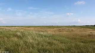 Umgebung von Pallesens Hyggehus