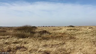Umgebung von Umanaks Poolhus