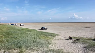 Strand in der Nähe von Rømø Poolhus