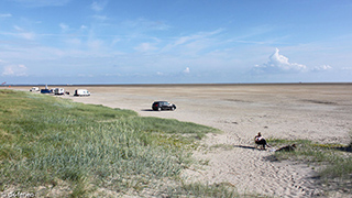 Strand in der Nähe von Kongsmark Aktivhus