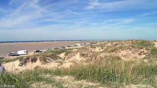 Strand in der Nähe von Kongsmark Aktivhus