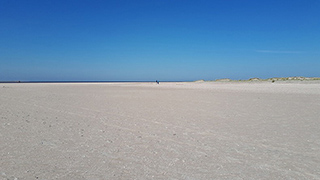 Strand in der Nähe von Kongsmark Aktivhus