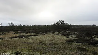 Umgebung von Hus Gærdesmutter