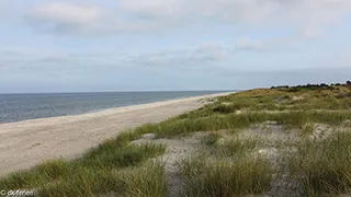 Strand in der Nähe von Lyngså Skovhus