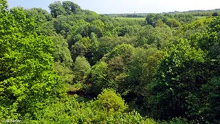 Umgebung von Aasted Skovhus