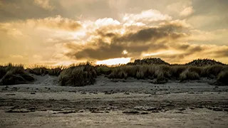 Strand in der Nähe von Knasborg Lejlighed