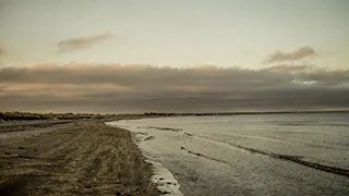 Strand in der Nähe von Knasborg Lejlighed