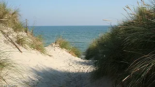 Strand in der Nähe von Bangs Sommerhus