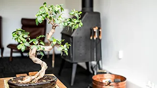 Liebevolle Einrichtung in Knasborghus