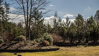 Grundstück von Knasborghus