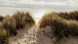 Strand in der Nähe von Knasborghus