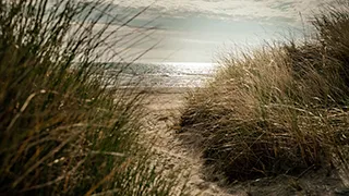 Strand in der Nähe von Knasborghus