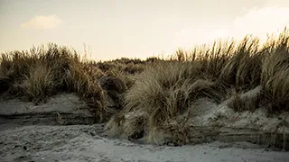 Umgebung von Knasborghus