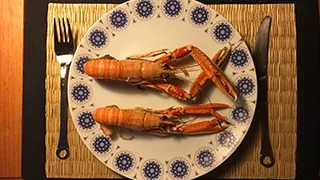 Detail von Sommerhus Anholt