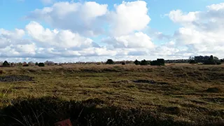 Umgebung von Bøge Hyggehytte