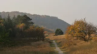 Umgebung von Gjerrild Hyggehus