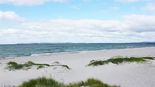 Strand in der Nähe von Hus Gåsehage